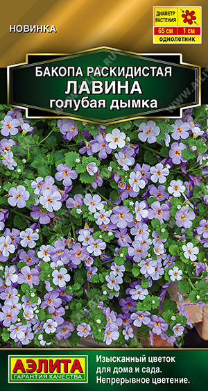 Бакопа Лавина голубая дымка Аэлита Ц