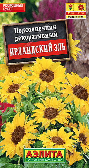 Подсолнечник Ирландский эль Аэлита Ц