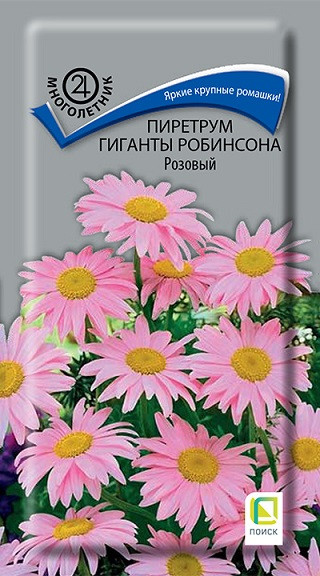Пиретрум Гиганты Робинсона Розовый Поиск Ц 