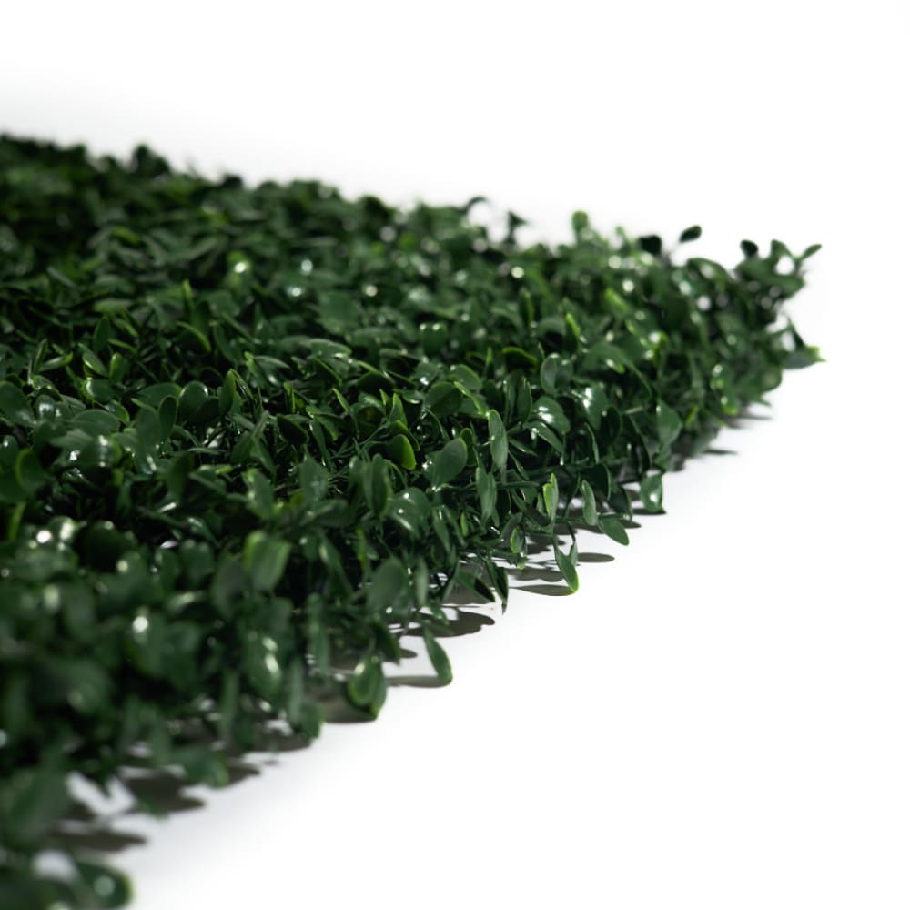 Искусств. растения Самшитовые коврики на стену Premium Grass FloraScape BoxTree 50*50 