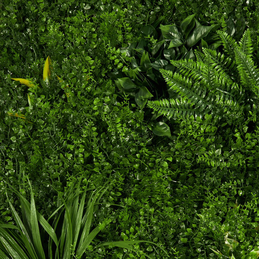 Искусств. растения Самшитовые коврики на стену Premium Grass FloraScape TropiFern 100*100 