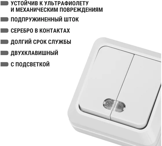 Выключатель 2-кл. открытой установки с подсветкой IP20 10А, белый "Ладога" TDM*