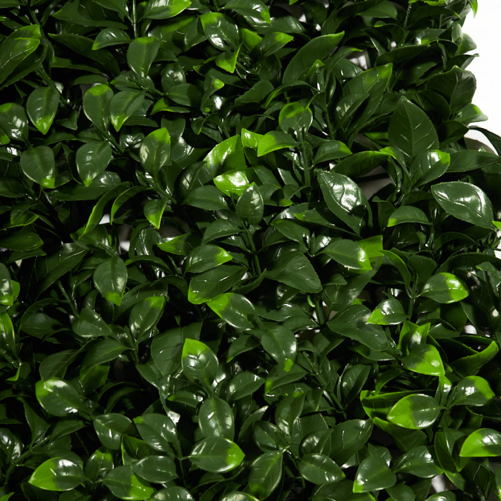 Искусств. растения Самшитовые коврики на стену Premium Grass FloraScape Gardenia 50*50 