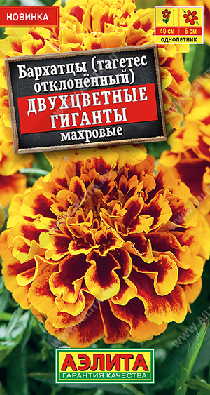 Бархкатцы Двухцветные гиганты Аэлита Ц