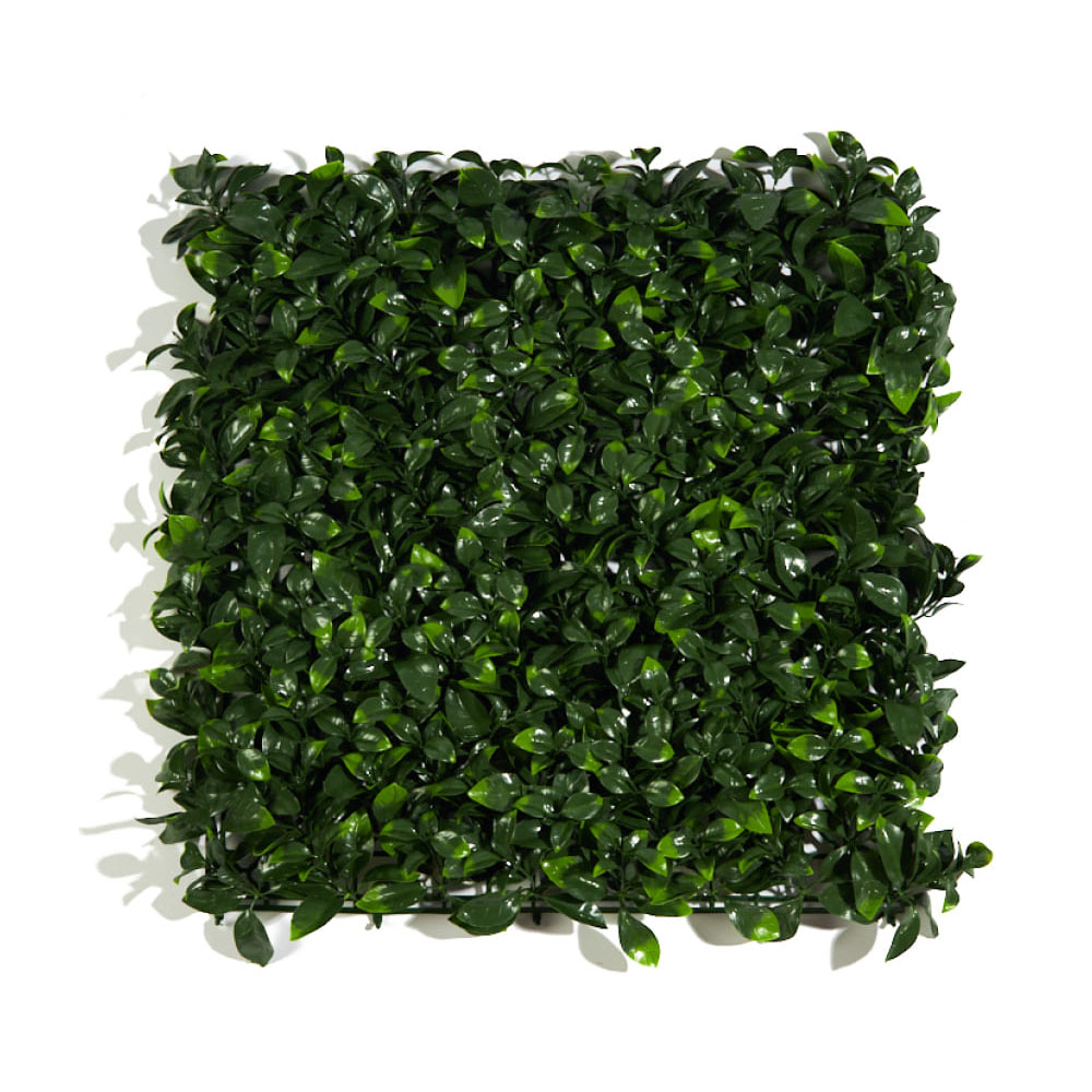 Искусств. растения Самшитовые коврики на стену Premium Grass FloraScape Gardenia 50*50 