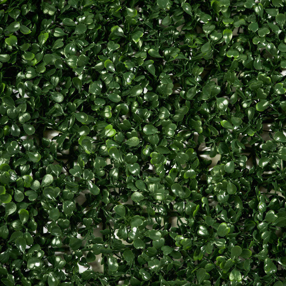 Искусств. растения Самшитовые коврики на стену Premium Grass FloraScape BoxTree 50*50 