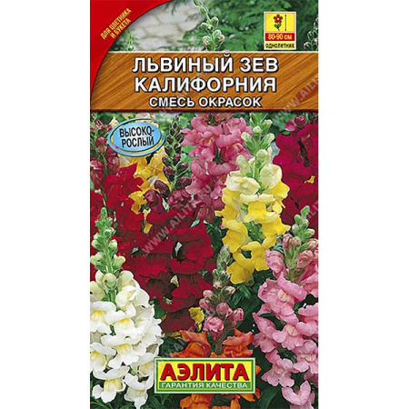 Львиный зев Калифорния смесь Аэлита Ц
